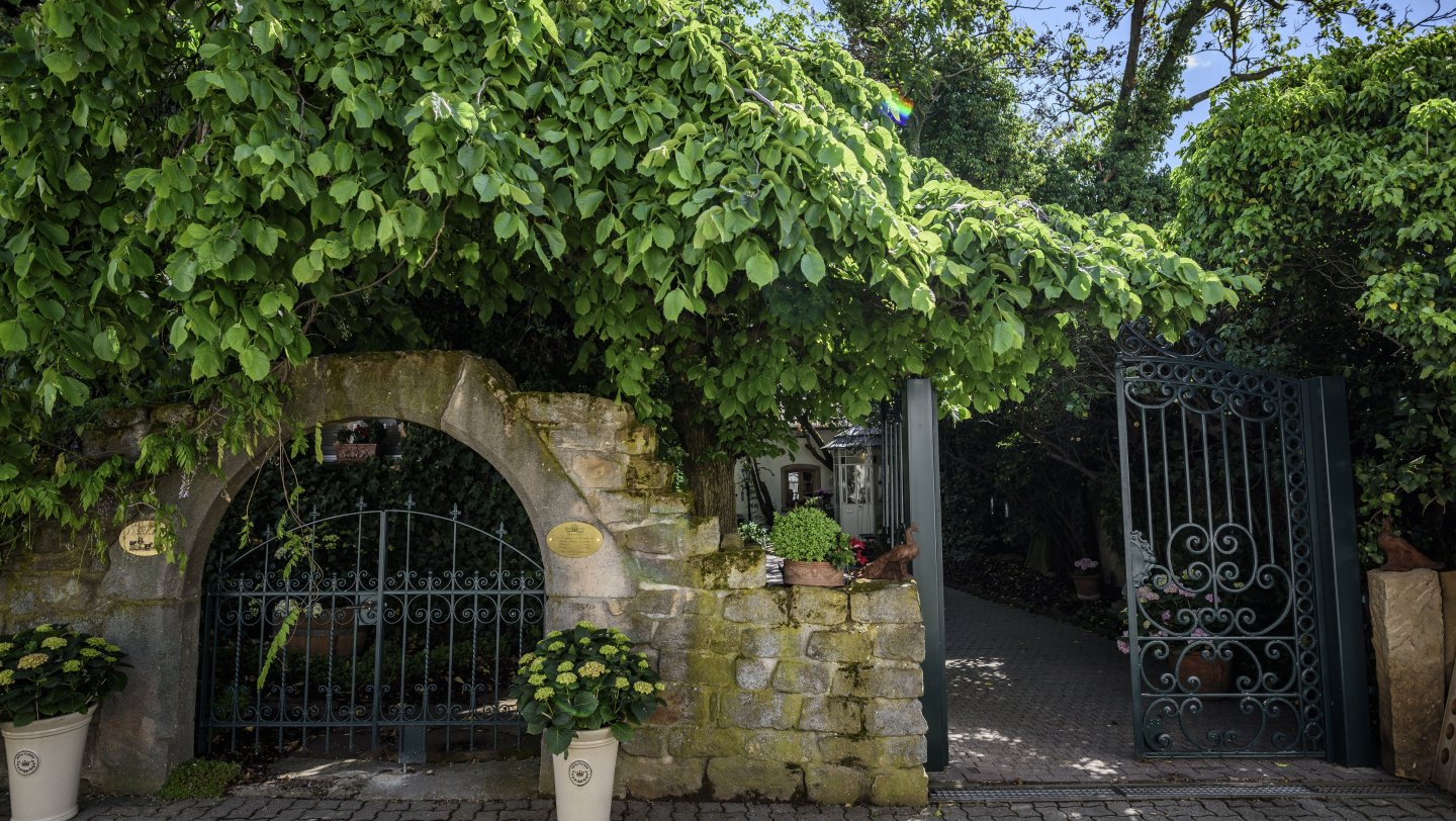 Entrance wine vinegar estate Doktorenhof